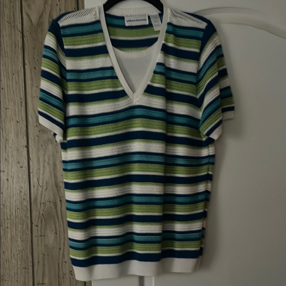 Striped V-Neck Short Sleeve Top